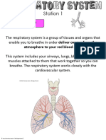 Respiratory System Task Cards - Editable