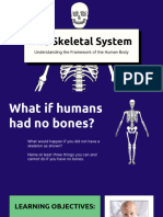 The Skeletal System Education Presentation in Green Yellow Simple Outlined Style