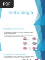 Embriologia 3ra Semana.