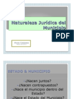 Unidad 3.-2. - Naturaleza Jurídica Del Municipio