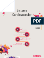 Sistema Circulatório