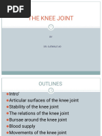 The Knee Joint Ii