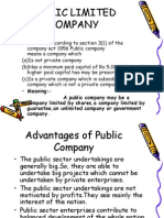 Advantages and Disadvantages of Public Company