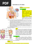 Anatomía de La Vía Aérea