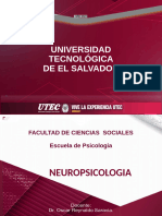 0.1 Cap - Concepto - de - Neuropsicología. - Portellano - J.A