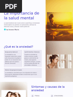 La Importancia de La Salud Mental.