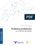 Cuaderno Num 17 - Dyf - Problemas Probatorios - Familia - Electrónico