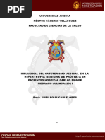 Influencia Del Cateterismo Vesical en La Hipertrofia Benigna de Próstata en Pacientes Hospital Carlos Monge Medrano Juliaca. 2021