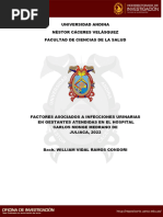 Factores Asociados A Infecciones Urinarias en Gestantes Atendidas en El Hospital Carlos Monge Medrano de Juliaca, 2022