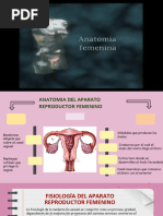 FISIOLOGÍA DEL APARATO REPRODUCTOR FEMENINO (Eje Hipotálamo, Hipófisis, Ovario y Ciclo Endocervical)