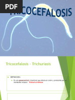 Tricocefalosis 2023 Parasito