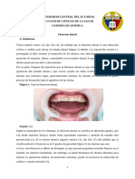 Trabajo Grupal-Fluorosis - Dental