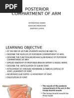 Posterior Compartment of Arm & Elbow Joint