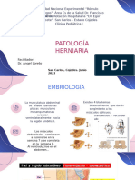 PPT - Patología Herniaria