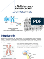 4 Cromosomas y Cariotipo