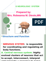 Assessment of The Nervous System