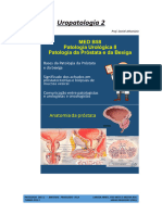 (Patologia) Uropatologia 2