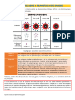 Grupos Sanguíneos y Transfusión de Sangre