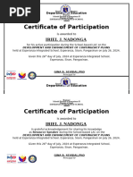 Certificate of DRRM