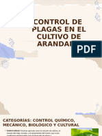 Control de Plagas en El Cultivo de Arandano 2