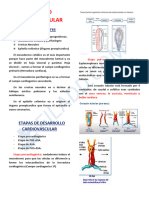 Aparato Cardiovascular-1