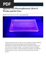 Agarose Gel Electrophoresis, How It Works and Its Uses