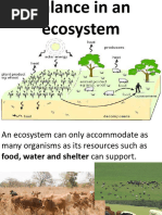 Unit 6 Balance in An Ecosystem