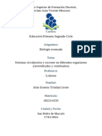 Cuadro Comparativo Sobre Los Tipos de Sistemas Circulatorios y Excretores