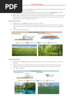 Ecological Pyramids