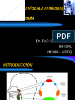 Adenoides Adenoidectomia