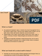 Fossils - PowerPoint 