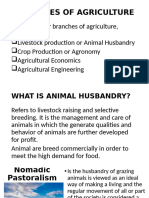 BRANCHES OF AGRICULTURE Day 3