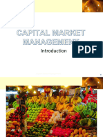 Intro To Capital MArket