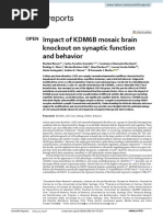 ACH 2024 Sci Rep Impact of KDM6B Mosaic Brain Knockout On Synaptic