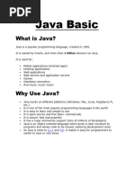 Java Basic 1