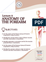 L08 - Anatomy of The Forearm