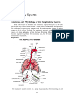 On Line Chapter 6 Respiratory System