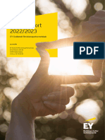 Ey Annual Report 2022 2023