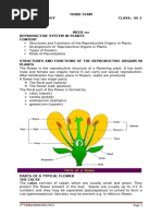 3RD Term Biology-1