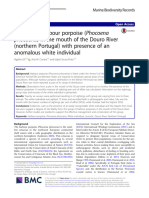 Records of Harbour Porpoise in The Mouth of The Douro River With Presence of An Anomalous White Individual