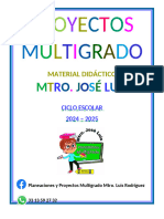 Proyectos - Mtro Jose Luis