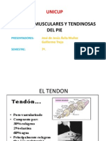 Lesiones Musculares Del Miembro Inferior