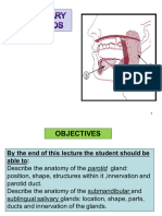 S11 - Salivary Glands