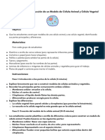 PROYECTO: Modelo de Una Célula Animal y Vegetal