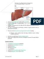 Liver Function Test