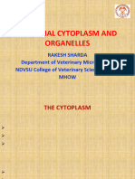 Bacterial Cytoplasm and Cell Organelles