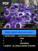 Herpes Simplex & Molluscum Contagiosum