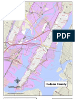 Flood Zones Bayonne