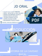 Exposicion Salud Oral Ok