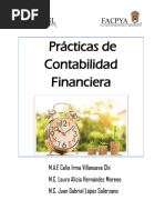 Practicas de Contabilidad Financiera 1